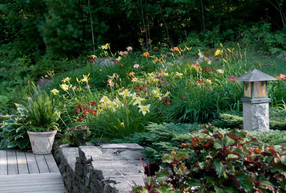 Wooden patio against stone steps in a garden with a profusion of multi-colored iris and greenery.