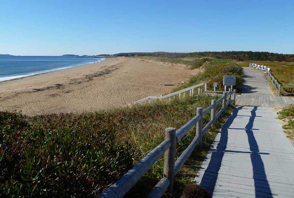 Sandy beach with blue sea fronted by a wooden boardwalk and sea grass.